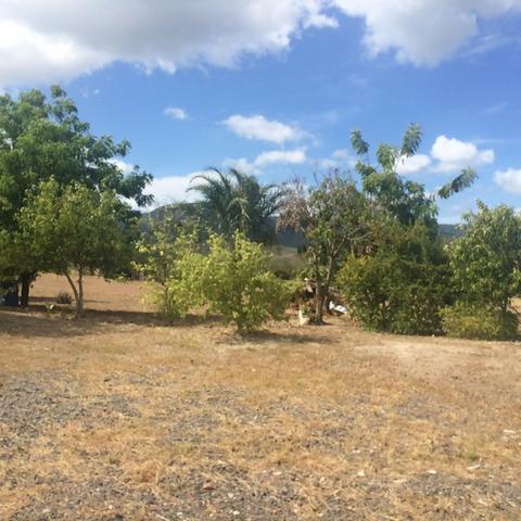 Vende -se Sitio 2 leões - Foto 2