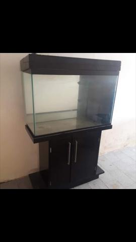 Aquario - Foto 2