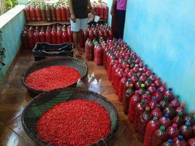 Pimenta malagueta