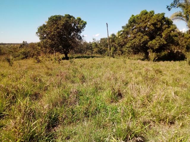 Chácara de 39 hectares em Acorizal ! - Foto 13