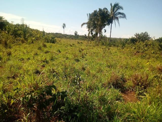 Chácara de 39 hectares em Acorizal ! - Foto 3