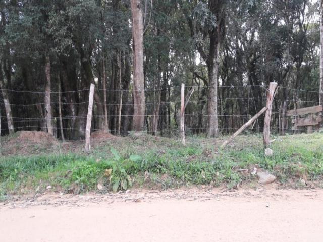 Chácara à venda em Areia branca dos nogueira, Mandirituba cod:CH00013 - Foto 5