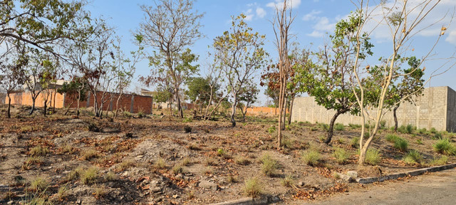 Terrenos no Parque Resid Tropical Ville (Cuiaba) Parte Alta e Área Verde
