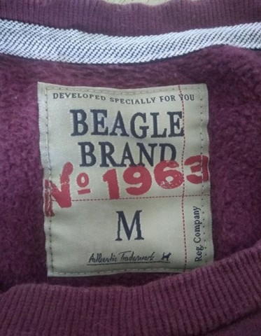 Moletom Beagle - Foto 3