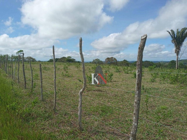 Vende-se propriedade rural em Bananeiras - Foto 4