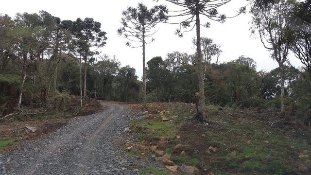 Sitio em Urubici /chacara em Urubici - Foto 11
