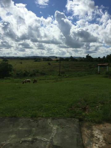 Fazenda na Cidade de Mata de São João - Foto 9