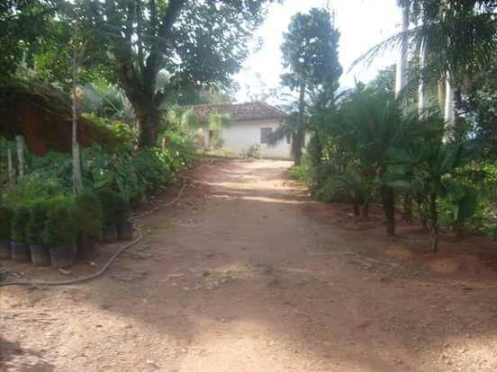 Sitio na Lajinha - Foto 8