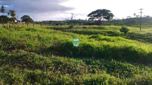Itagibá. Fazenda pecuária de 375 Hectares com toda infraestrutura. - Foto 18
