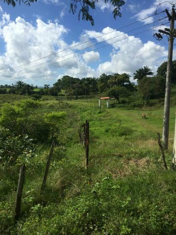 Fazenda na Cidade de Mata de São João - Foto 6