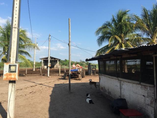 FAZENDA A VENDA EM CORUMBA - MS (Pecuária) - Foto 4