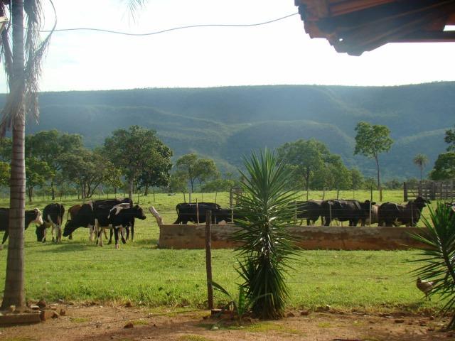 Formosa Goiás á 39 km na região do Maltizaria - Foto 7