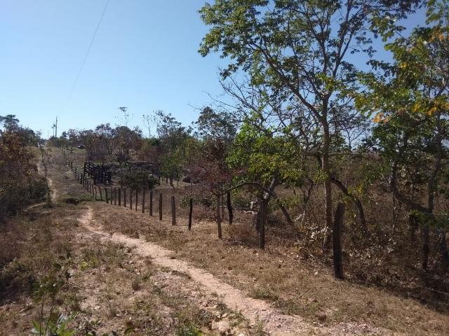 Chácara km 22 estrada da guia - Foto 3