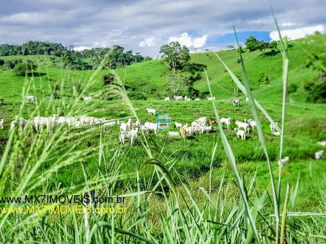 Itaju do Colônia. Linda Fazenda pecuária de 375 Hectares - Foto 4