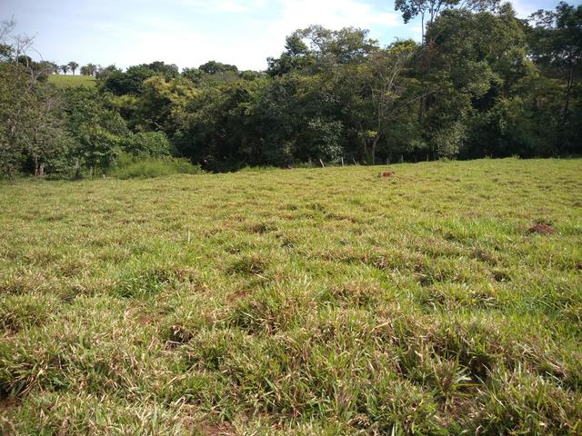 Chácara de 1 alqueire entre Ouro Verde e Petrolina, com muita água - Foto 18