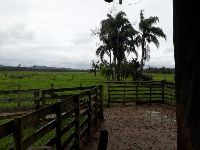 Fazenda Plana toda Aproveitável, Valor muito Atrativo do que Pedem Na Região - Foto 13