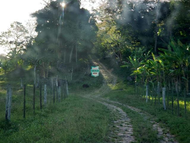 Itajuípe. Fazenda Zona Rural - Foto 6