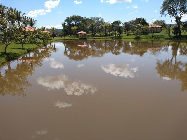 Chácara de 1 alqueire entre Ouro Verde e Petrolina, com muita água - Foto 2