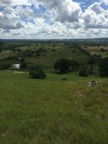 Fazenda na Cidade de Mata de São João - Foto 11