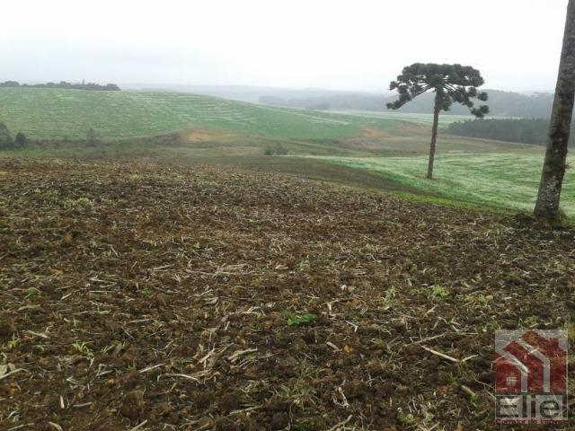 Fazenda Produtiva, Topografia Mecanizada, Propriedade Lindíssima - Foto 6