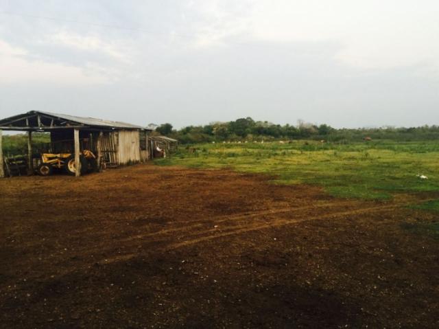 FAZENDA A VENDA EM CORUMBA - MS (Pecuária) - Foto 9