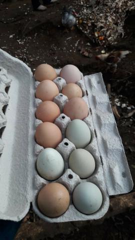 Chácara área rural porteira fechada - Foto 10