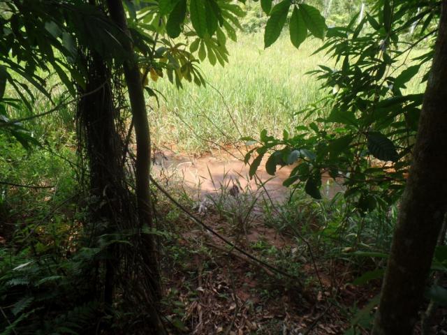 Chácara à venda em Bom jesus do bagre, Belo oriente cod:356 - Foto 17