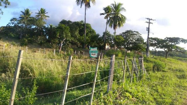 Itagibá. Fazenda pecuária de 375 Hectares com toda infraestrutura. - Foto 17
