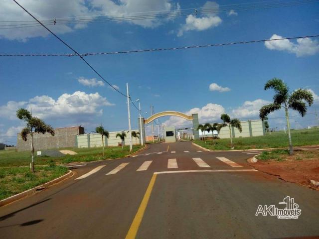 Terreno Residencial Loteamento Villa Verde - Iguaraçu - Foto 2