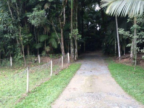 Chácara para alugar com 4 dormitórios em Vila nova, Joinville cod:L58656 - Foto 12