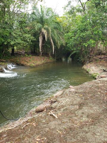 Vende-se chácara 110 km de Várzea Grande Watssap * - Foto 3