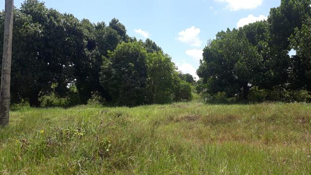 Fazenda em camamu R$ 1.500.00 a tarefa a mais barata do Brasil - Foto 4