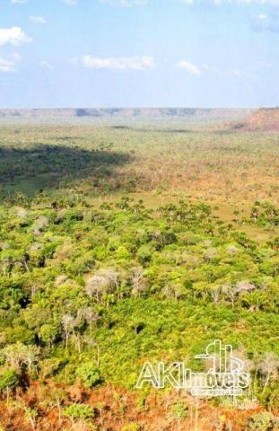 Fazenda à venda, 690000000 m² por r$ 172.500.000,00 - centro - fernando falcão/ma - Foto 4