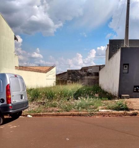 Terreno à venda em Jardim niagara ii, Jardinopolis cod:V180965 - Foto 3