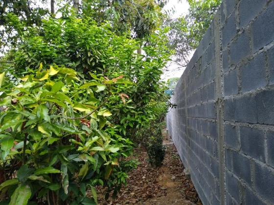 Chácara à venda em Sorocamirim (canguera), São roque cod:62193 - Foto 14