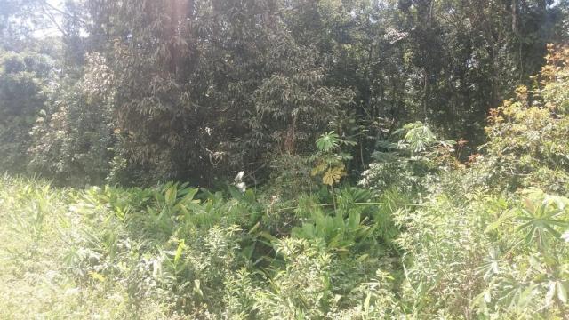 Bom terreno de 12.80 x 24 total 307,20 m2 em itapoá na área retro portuária, aproximadamen - Foto 4