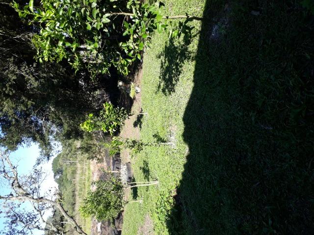 Chácara - Foto 11