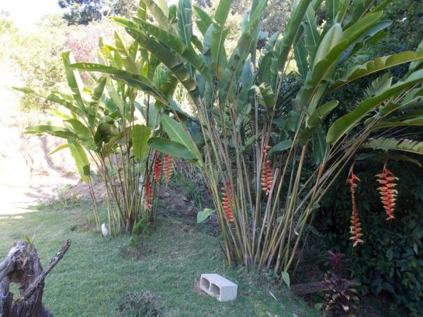 Terreno à venda em Jardim guaçu, São roque cod:59919 - Foto 9