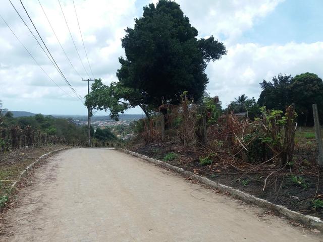 Terreno