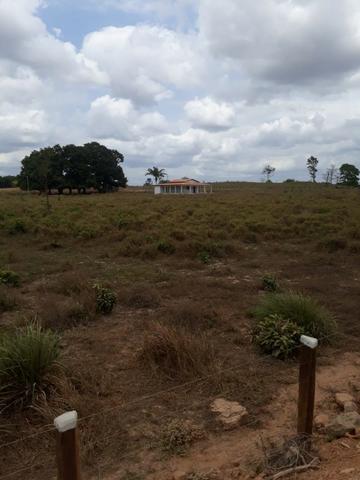 Vendo fazenda com 315 Hectares de terra!! - Foto 4