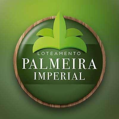 Cod 225 - oportunidade lote em palmeira dos índios - Foto 3