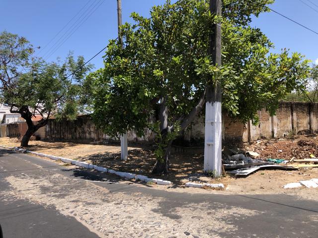 Terreno Parnaíba - Excelente oportunidade!!! - Foto 5