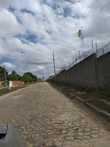 Granja com 10.000 m², vizinha ao Condomínio Fazenda Real I/II, em Macaíba/RN - Foto 11