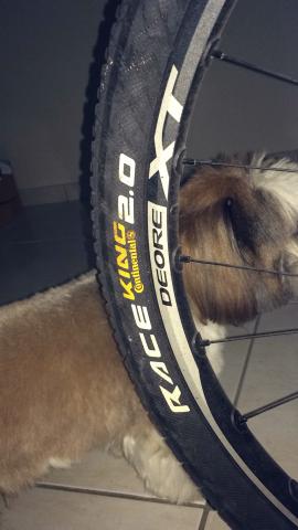 Bike carbono aro 26 - Foto 4