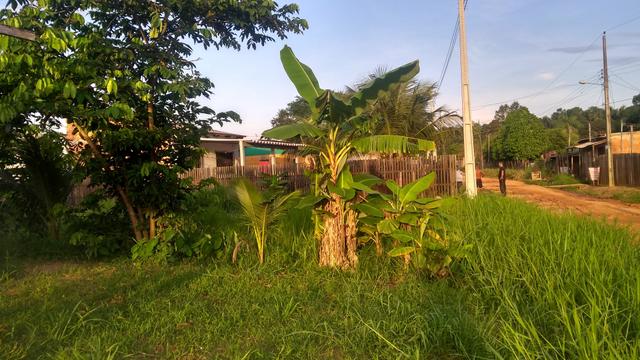 Terreno medindo 11 de frente por 30 de fundos - Foto 4
