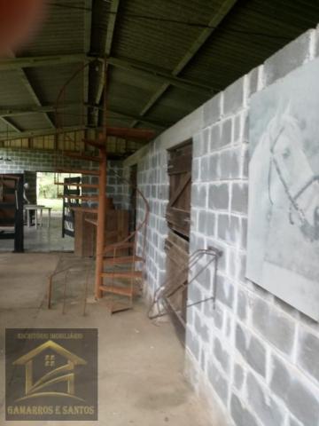 Aluga-se chácara com 18 alqueires com casa e estrutura para criação de gado - Foto 19