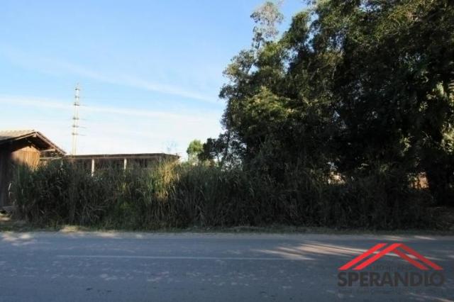 Terreno c/480m² de frente p/ asfalto, rua 1570. baln. itapoá - Foto 5