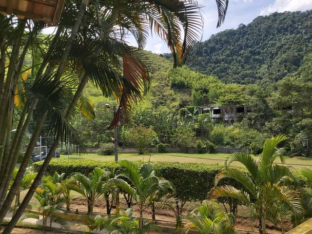 Sitio - Foto 4