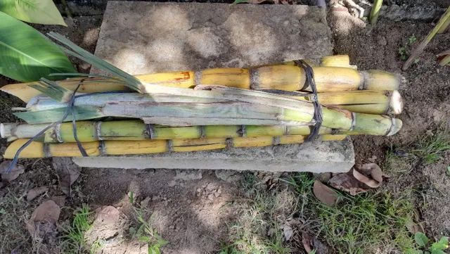 Casa com  Salão de Festas e piscina em Gravatá   - Foto 13