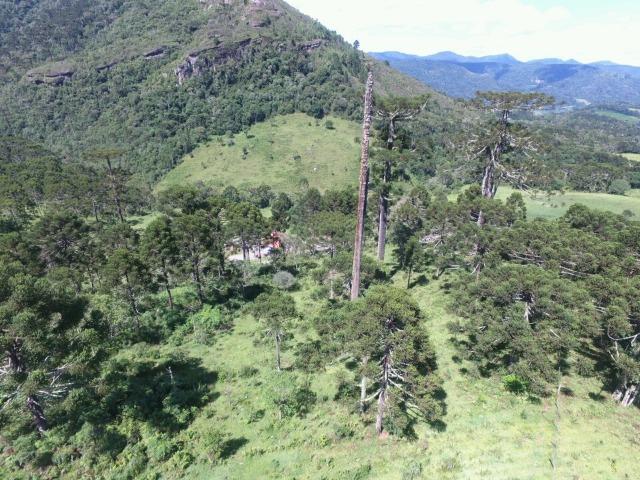 Sitio em Urubici /chácara em Urubici - Foto 13